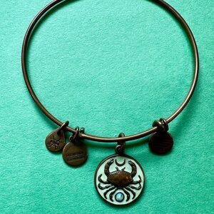 Alex and Ani bracelet